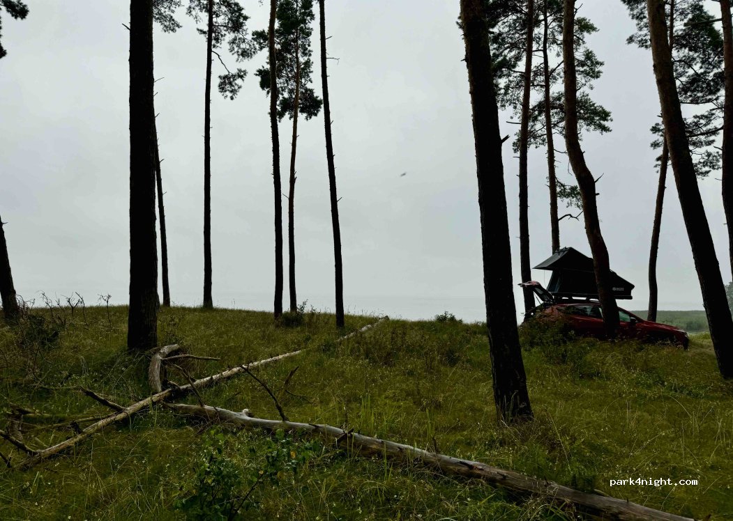 (82-120) Krynica Morska - — foto 2