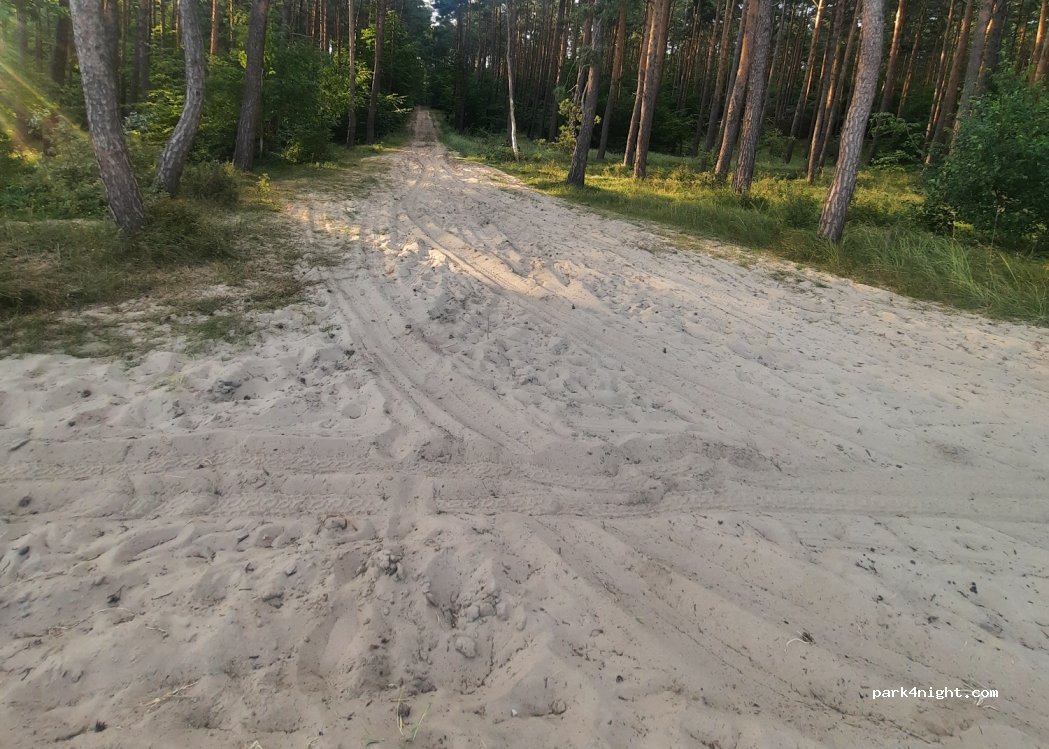 (82-120) Krynica Morska - — foto 4