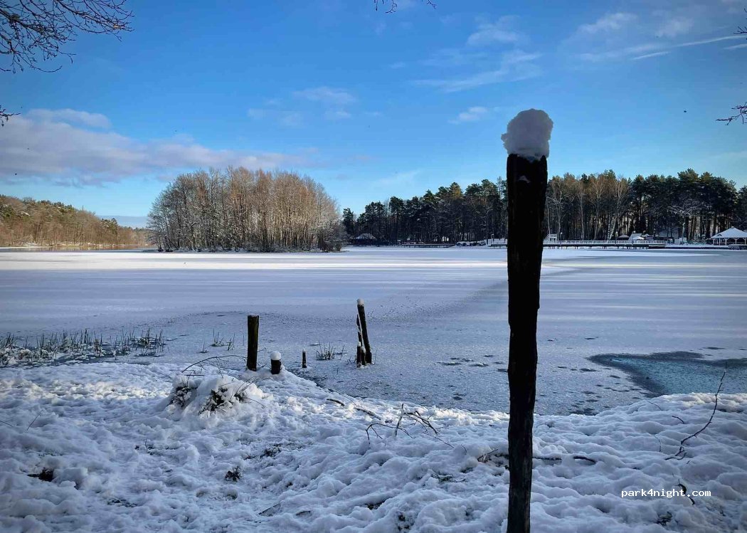(83-331) Łapino Kartuskie - 4 Olchowa — foto