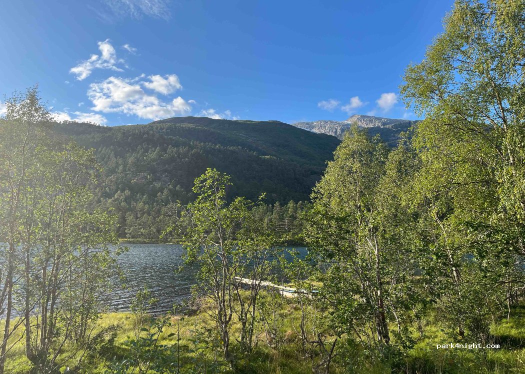 (6829) Hyen - 18 Primær Fylkesveg 615 — foto 3