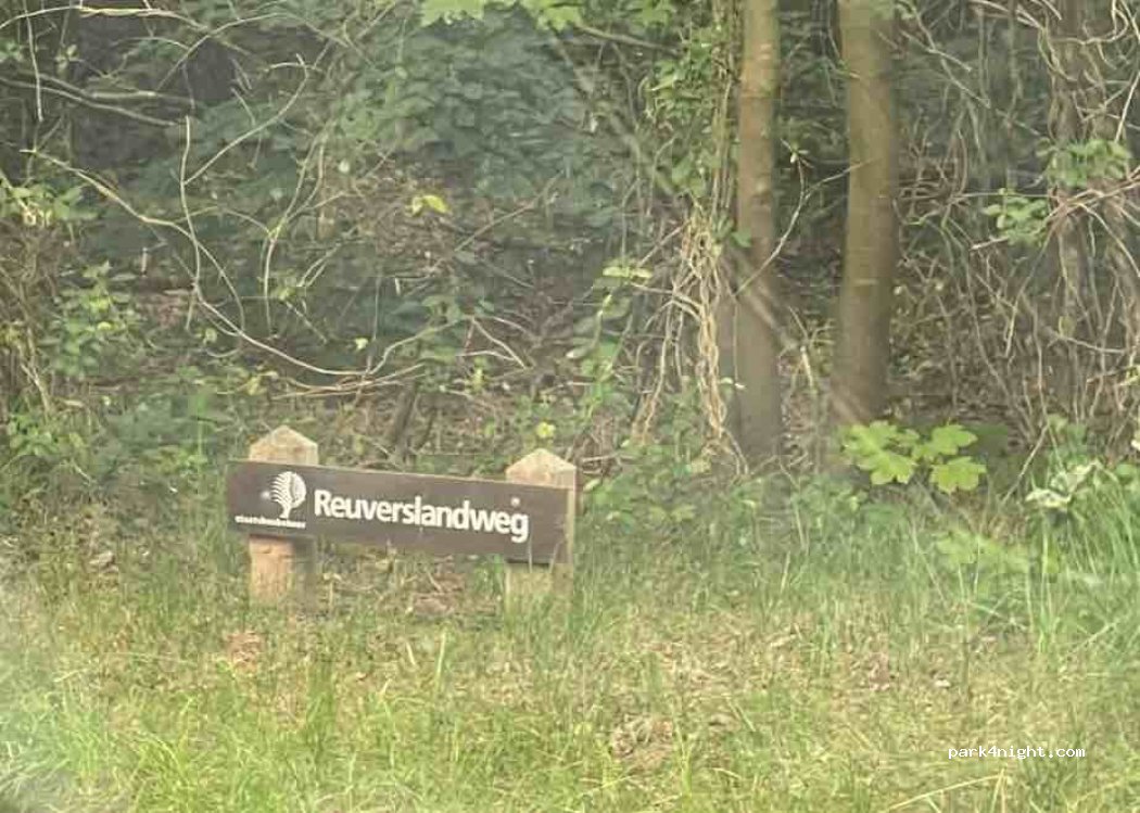 (1791) De Koog - Randweg — foto