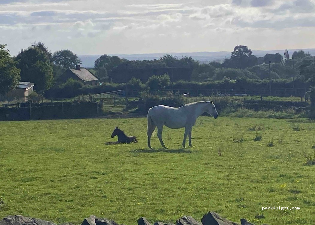 Ingfield Farm Camping — foto