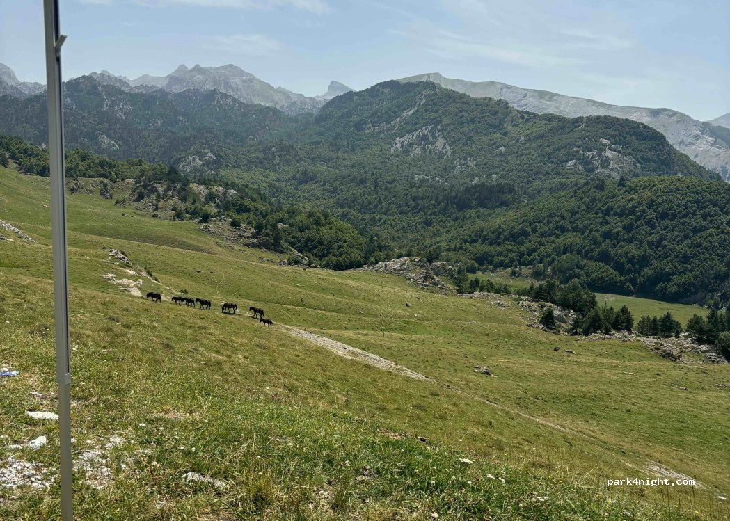 (31417) Isaba - Carretera del Roncal — foto