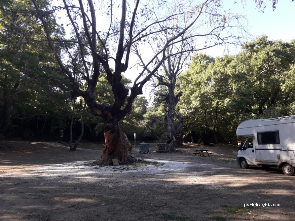 (590 31) Vergina - — foto