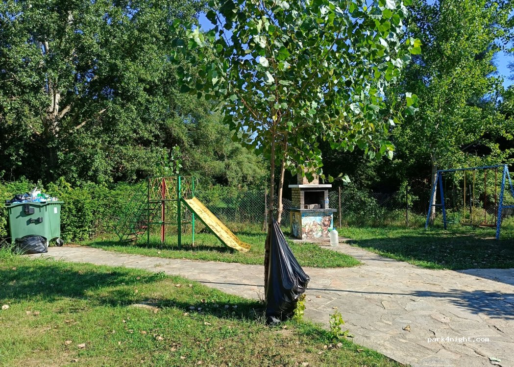 (7123) Долна Студена - Unnamed Road — foto 3