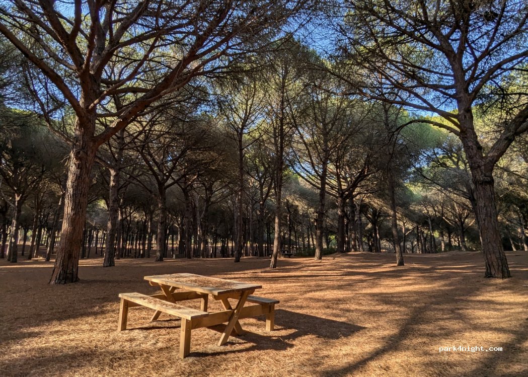 (11360) San Roque - Unnamed Road — foto