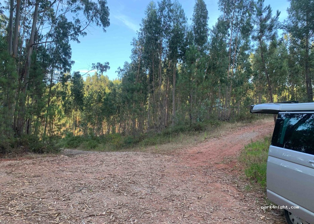 (3250) Maçãs de Caminho - — foto