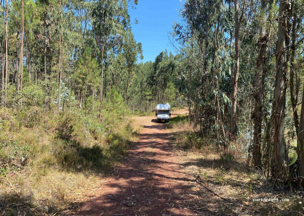 (3250) Maçãs de Caminho - — foto 3