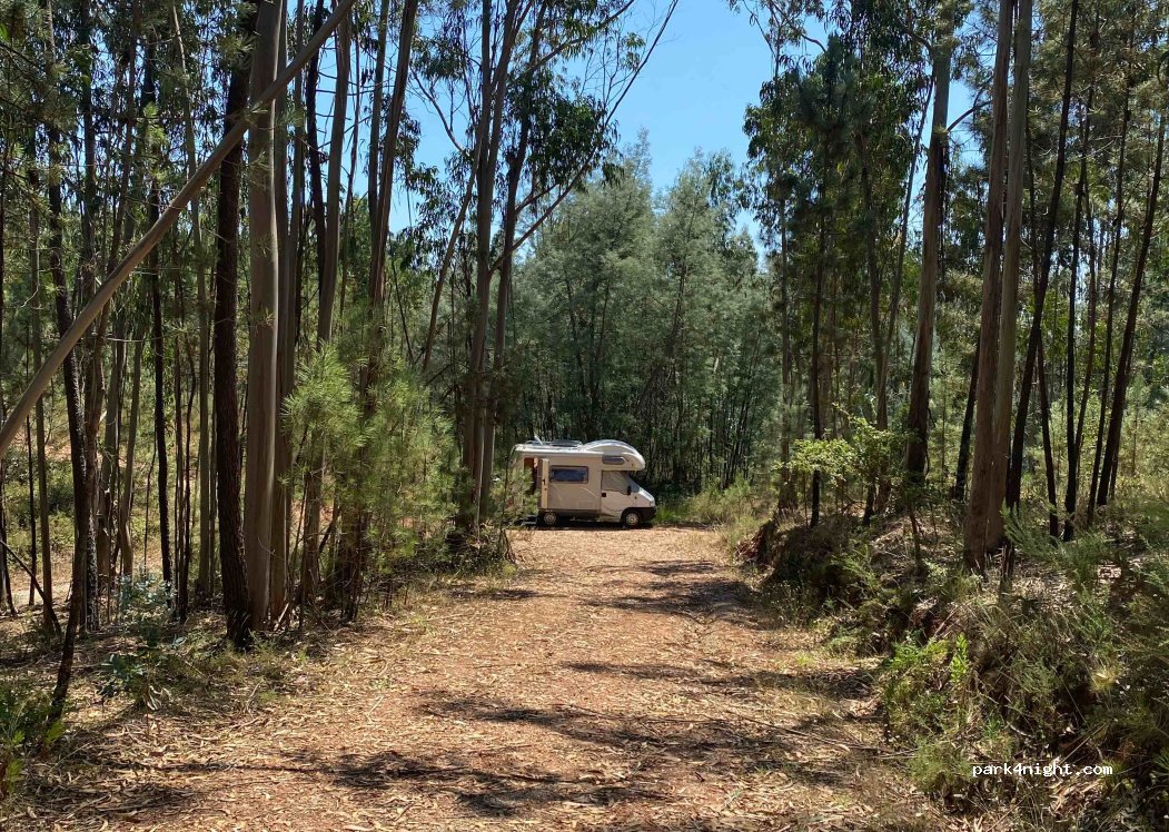 (3250) Maçãs de Caminho - — foto 4