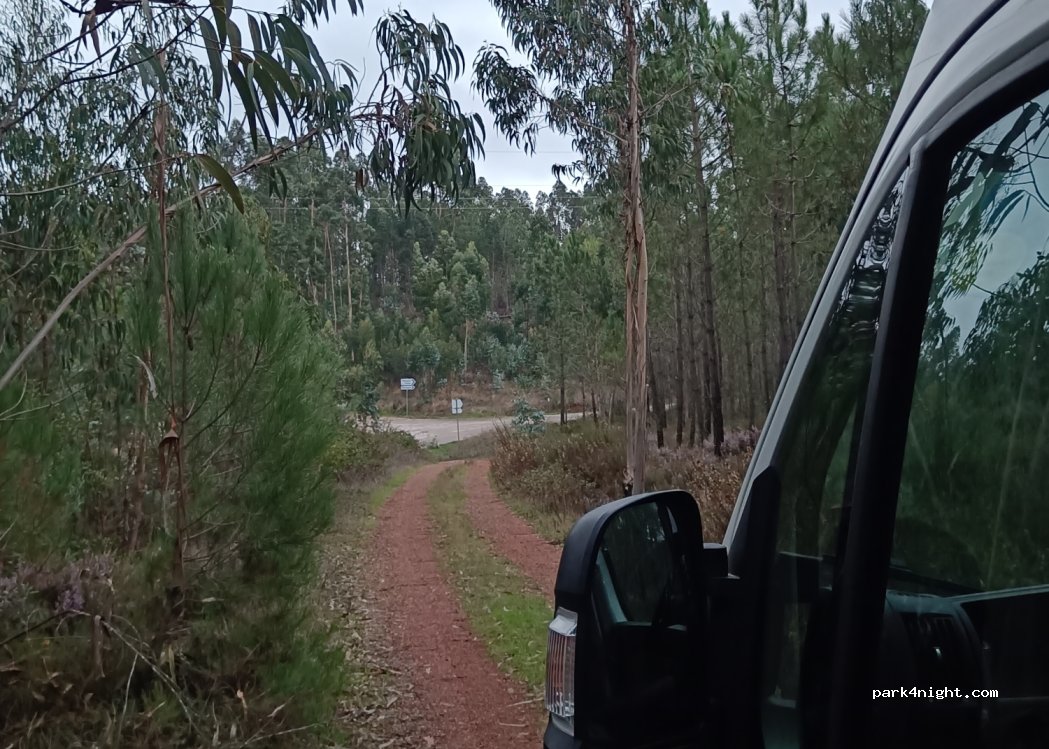 (3250) Maçãs de Caminho - — foto 5