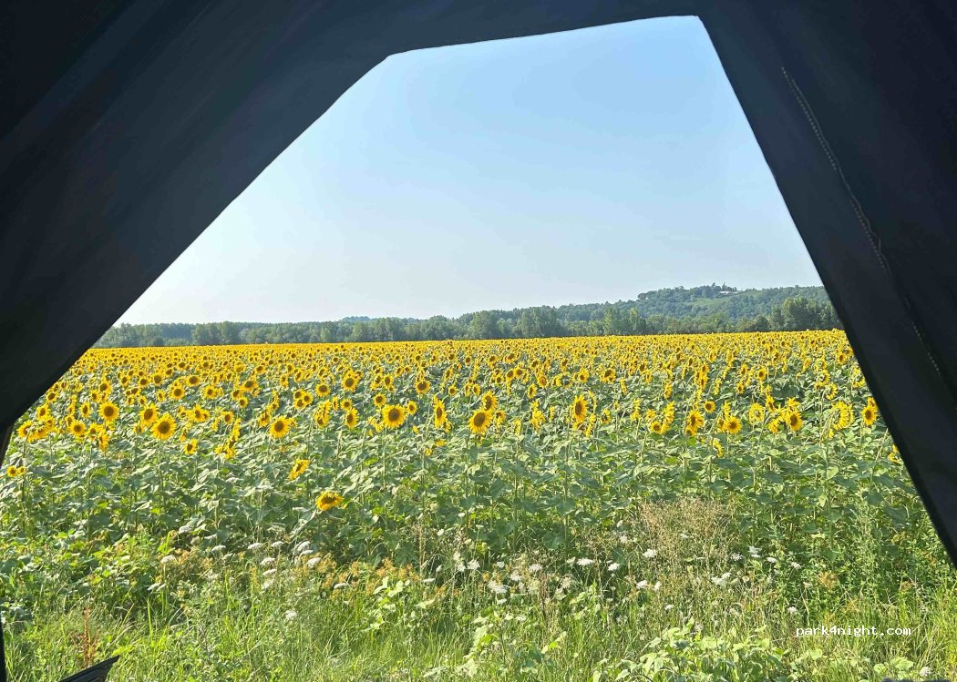 (33550) Lestiac-sur-Garonne - — foto