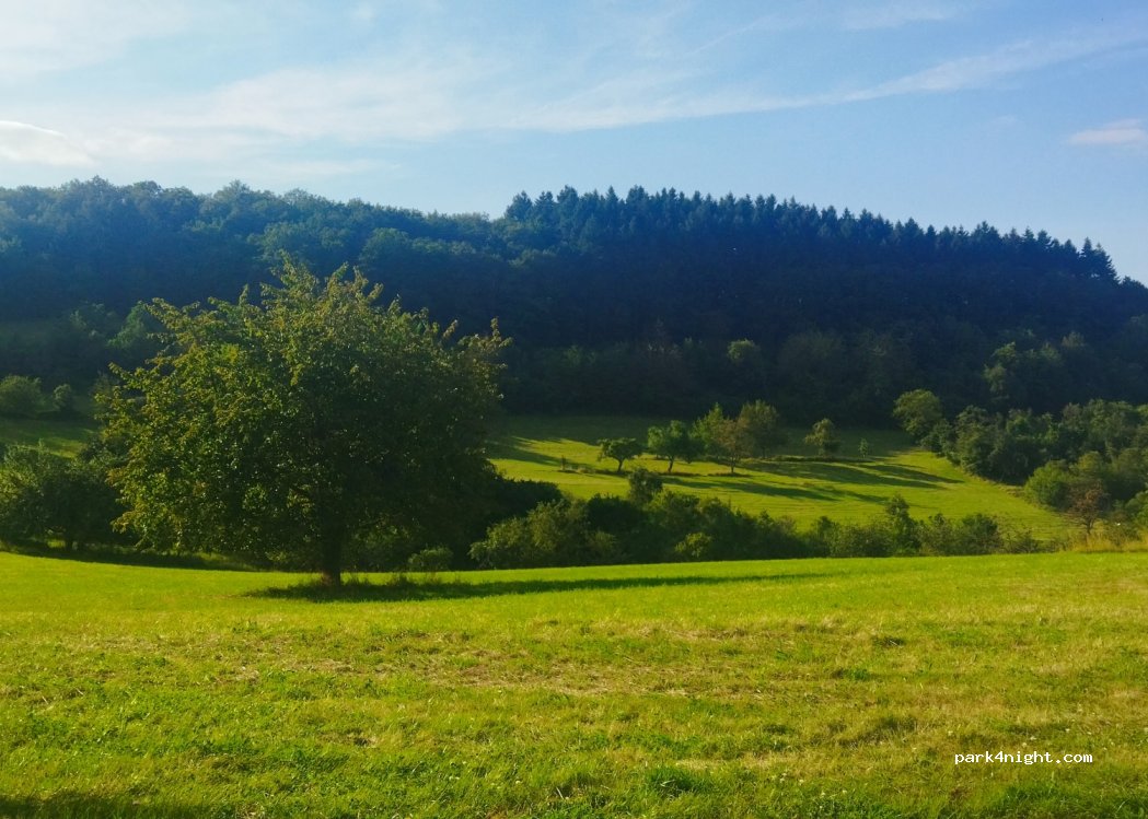 (66871) Etschberg - 15 Friedhofweg — foto 3
