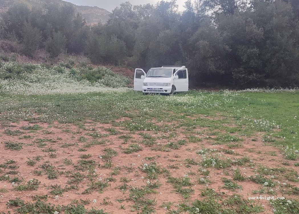 (08416) Riells del fai - 2P Avinguda Sant Vicenç — foto 4
