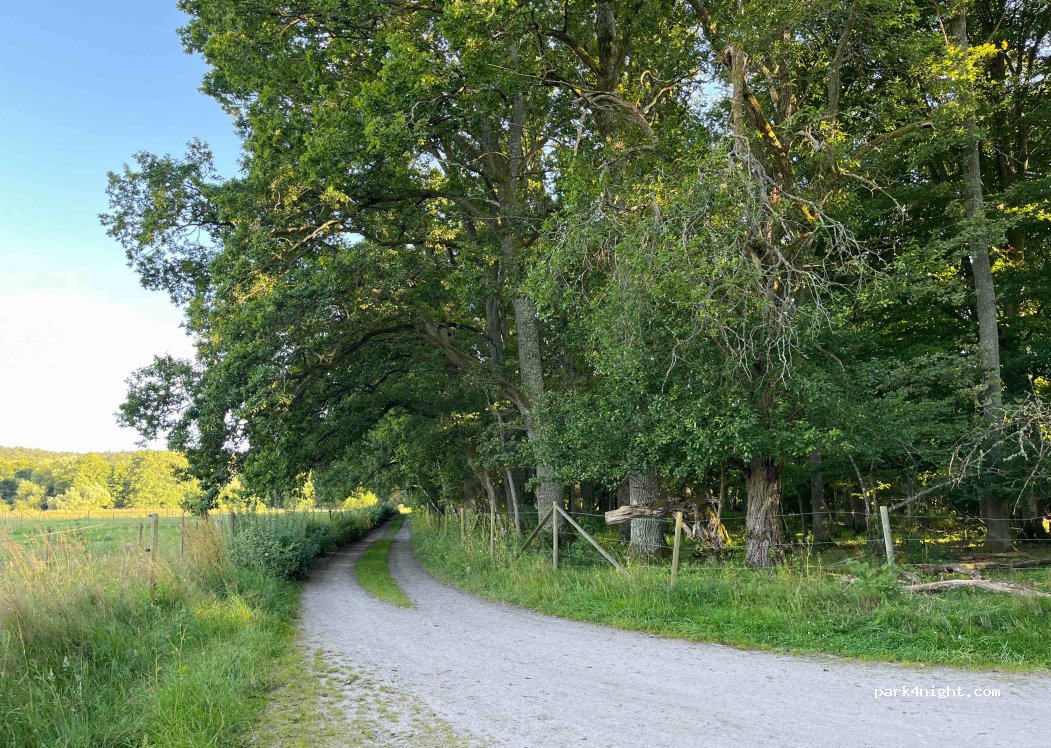 (273 50) Brösarp - Brösarps norra backar — foto 4