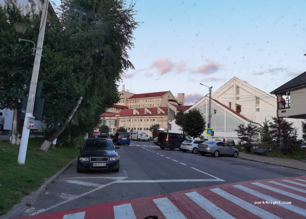 (435200) Borșa - 4 Strada Floare de Colț — foto