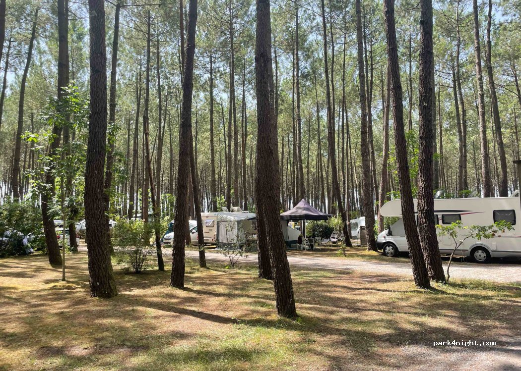Camping L'Océane | Camping 4 étoiles Landes — foto 3