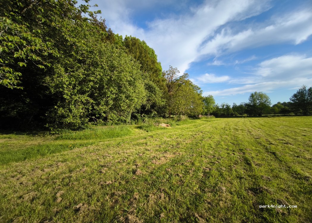 (87440) Saint-Mathieu - 19 Lotissement de la Borderie — foto 5