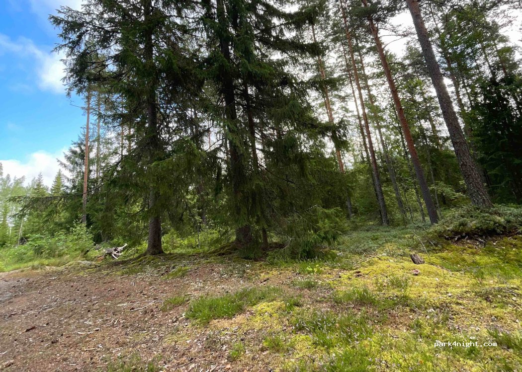 (31450) Talvisilta - 68 Häntäläntie — foto