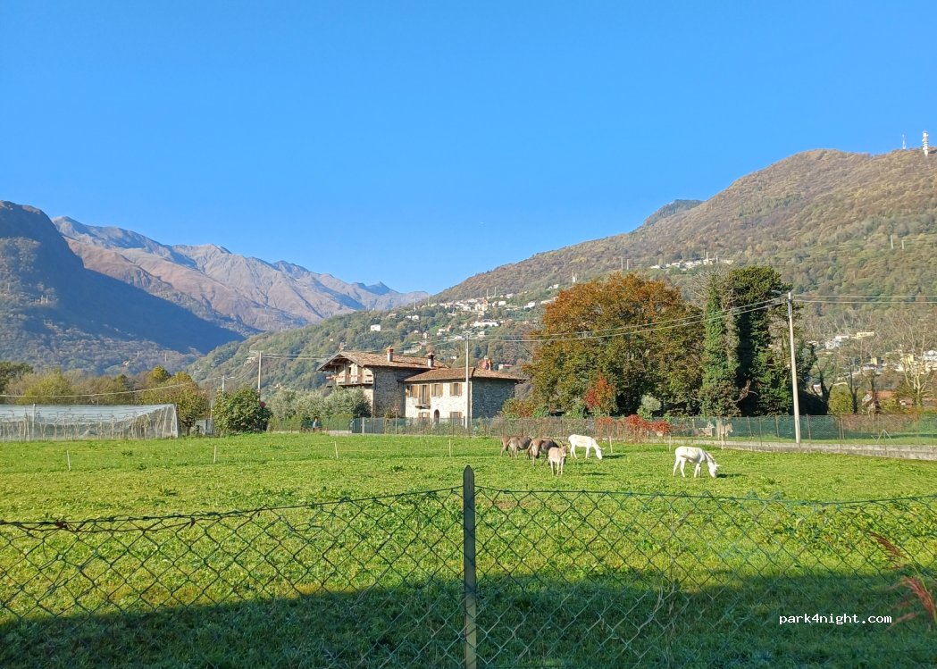 (22015) Gravedona - 14 Via alla Poncia — foto 5