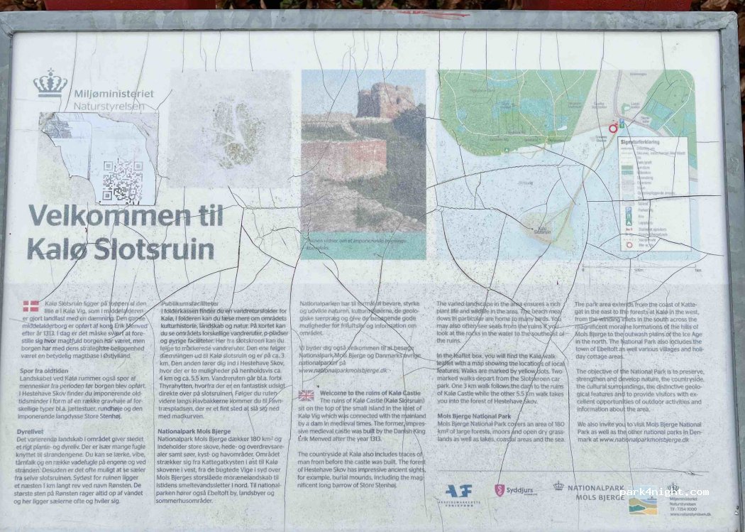 (8410) Rønde - 31 Molsvej — foto 4