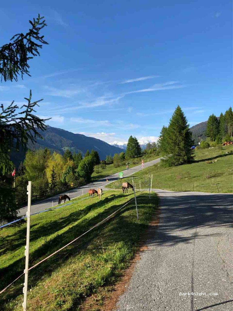 Campingplatz Pè da Munt — foto 2