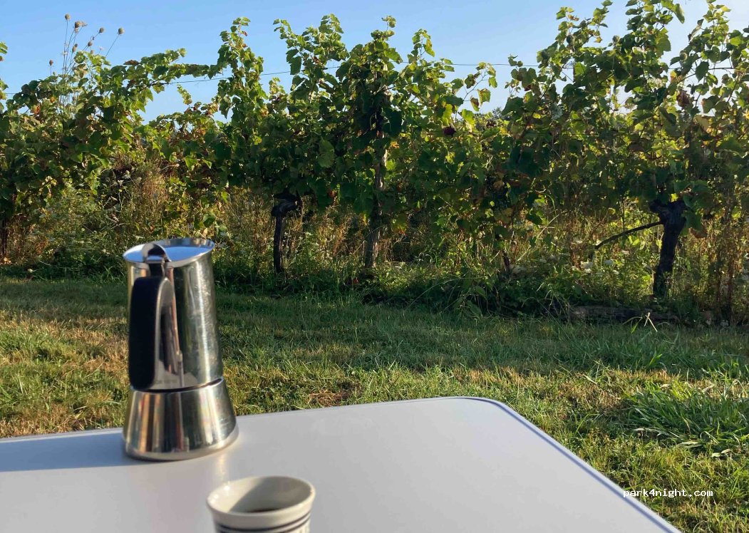 Armagnac Sourdois - Domaine de Jean-Bon — foto 3