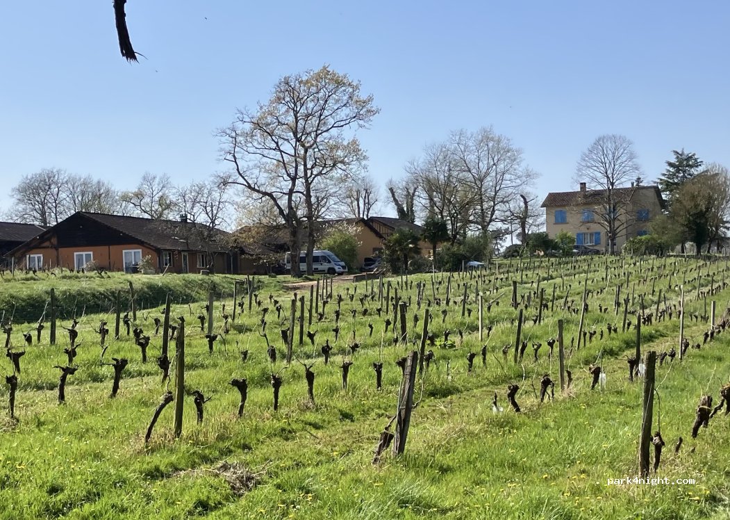 Armagnac Sourdois - Domaine de Jean-Bon — foto 4