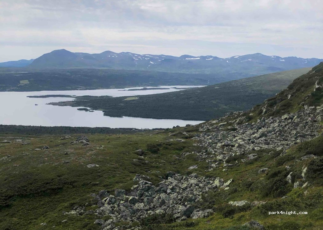 (2960) Røn - 1921 Panoramavegen — foto