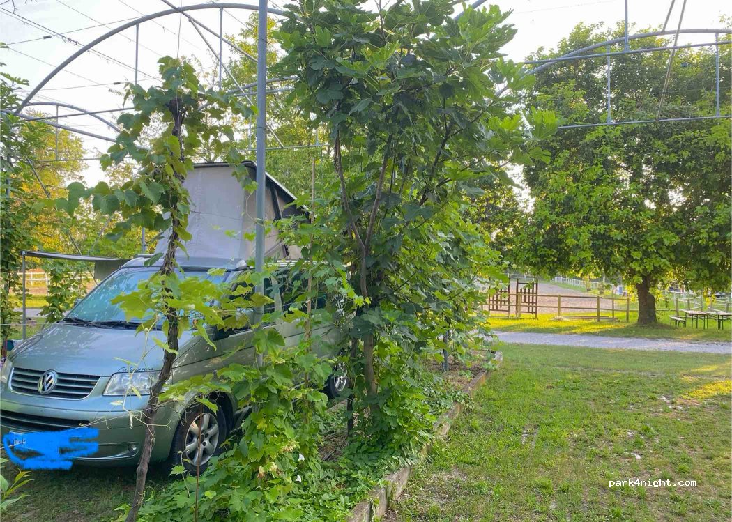Gelindo Magredi Camping — foto 4