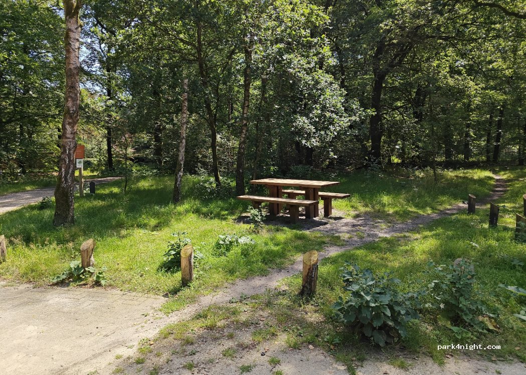 (8191 KE) Wapenveld - 3 Wapenveldseweg — foto 2