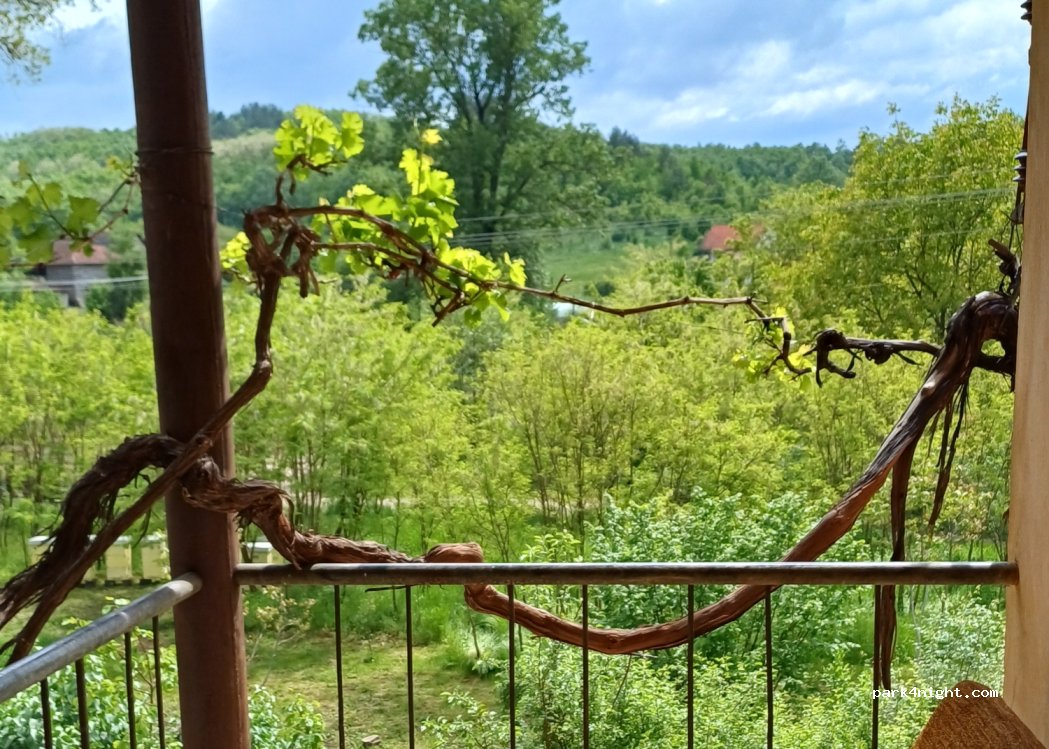 () Gornja Koznica - — foto