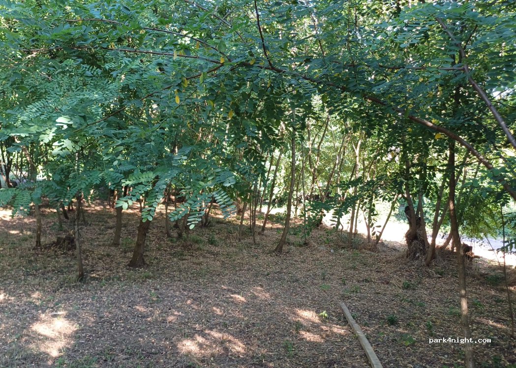 () Gornja Koznica - — foto 2