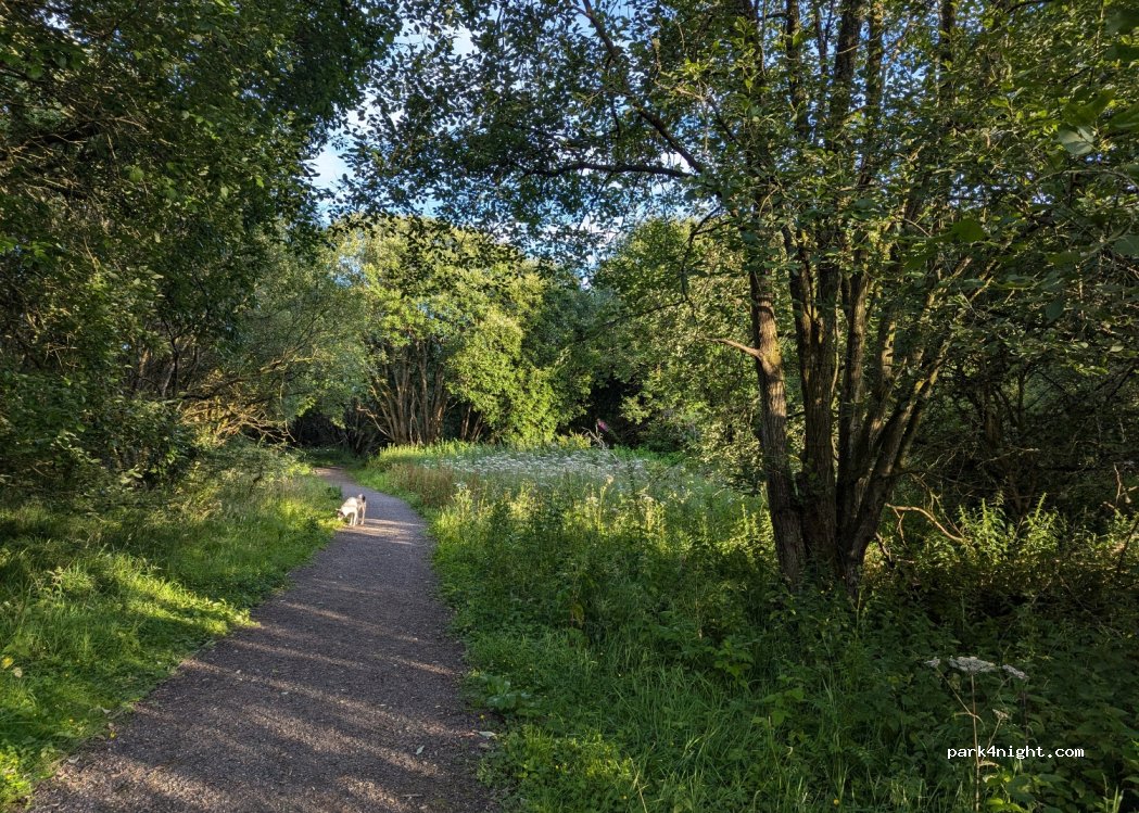 (ML8 5PS) Carluke - Station Road — foto 2