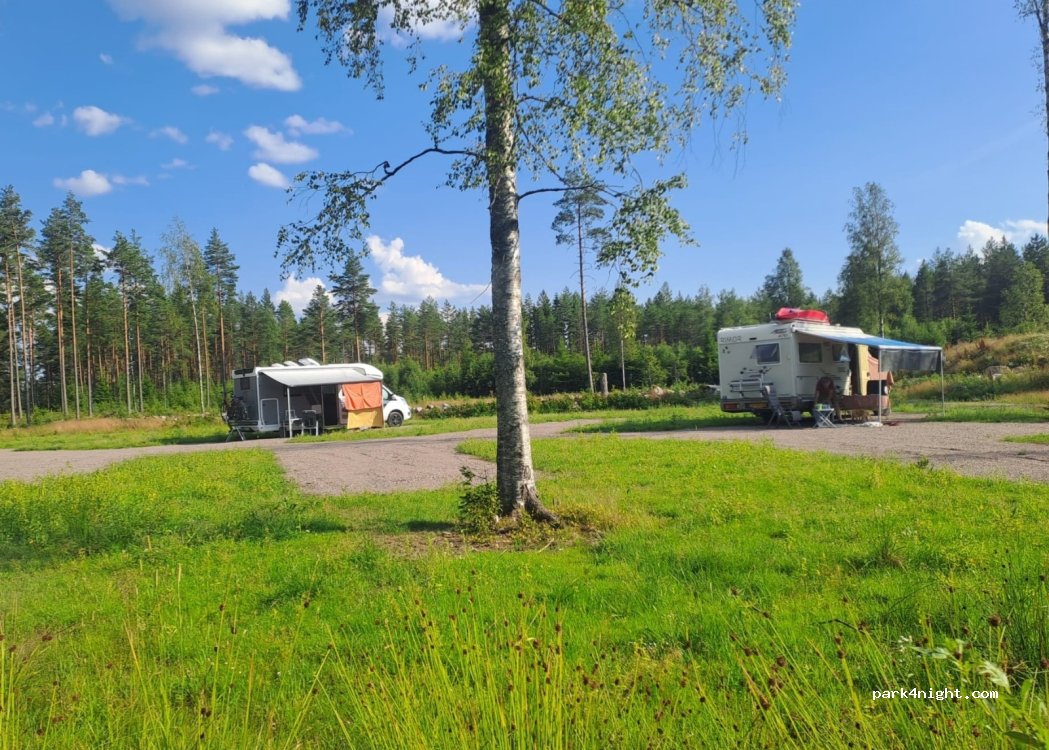 One Lucky Moose — foto 5