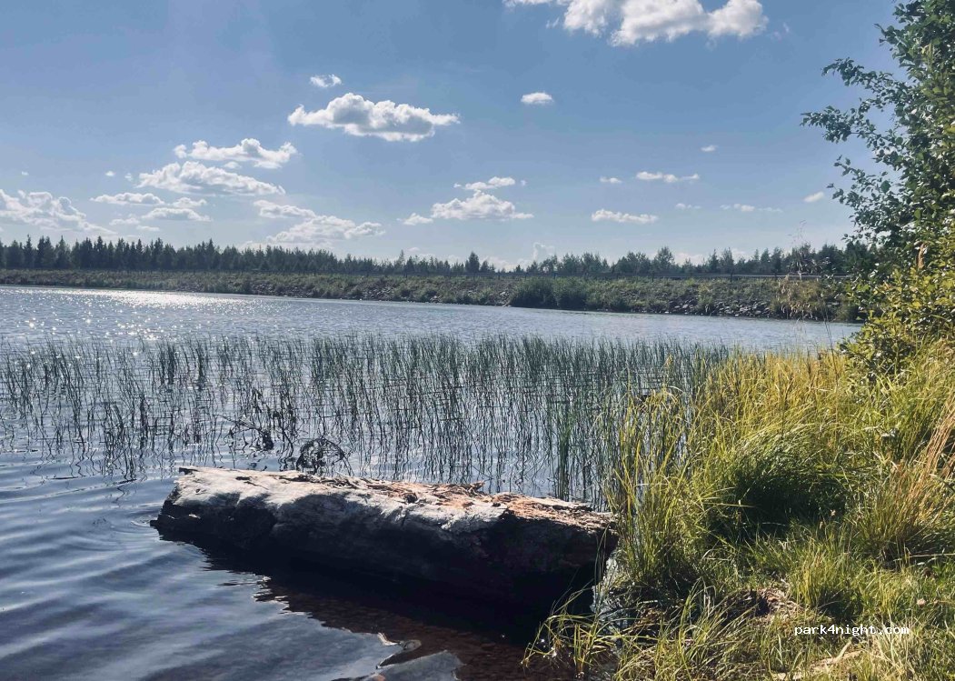 (99550) Suoharju - 967 Kurkiaskantie — foto 4