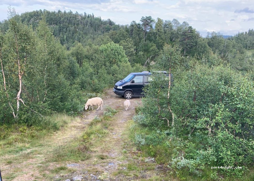 (4748) Rysstad - 2 Sekundær Fylkesveg 337 — foto