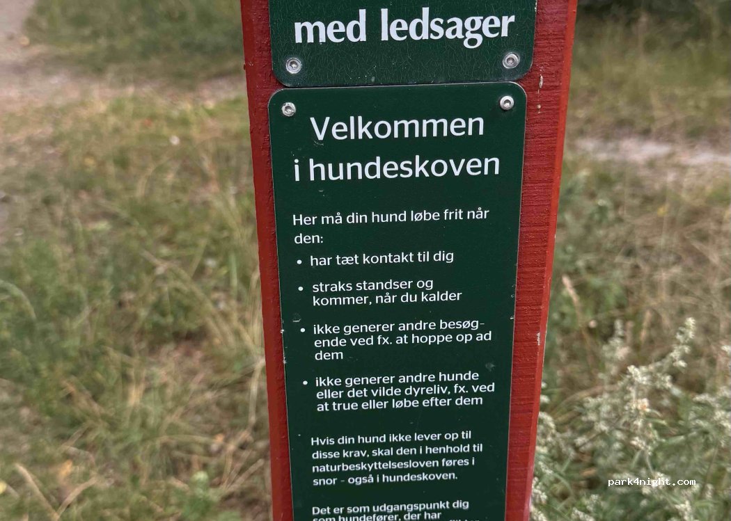 (3100) Hornbæk - Nordre Strandvej — foto 3