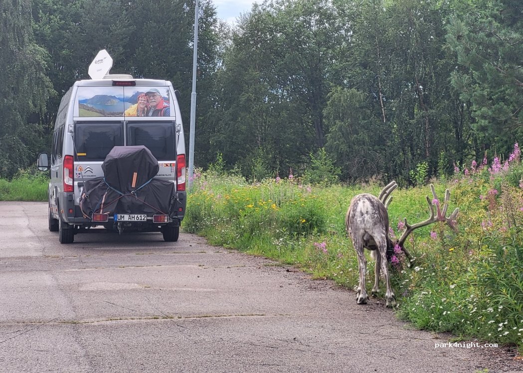 (933 31) Arvidsjaur - 28 Borgargatan — foto 4