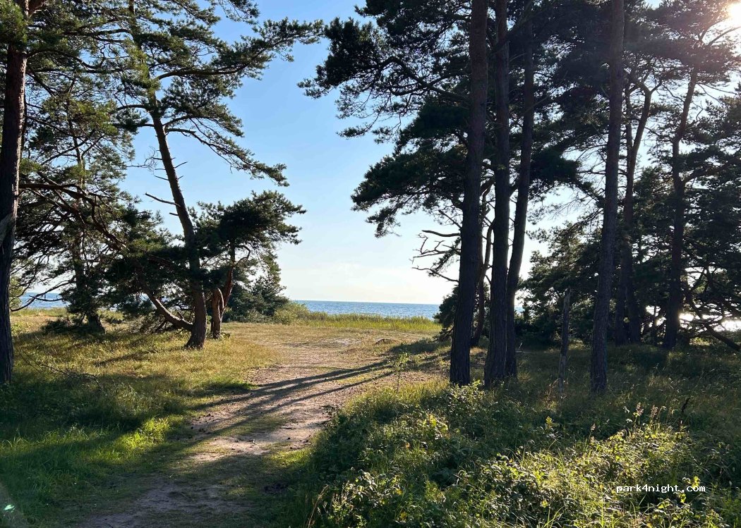 (623 43) Havdhem - 445 Silte Snausarve — foto 2