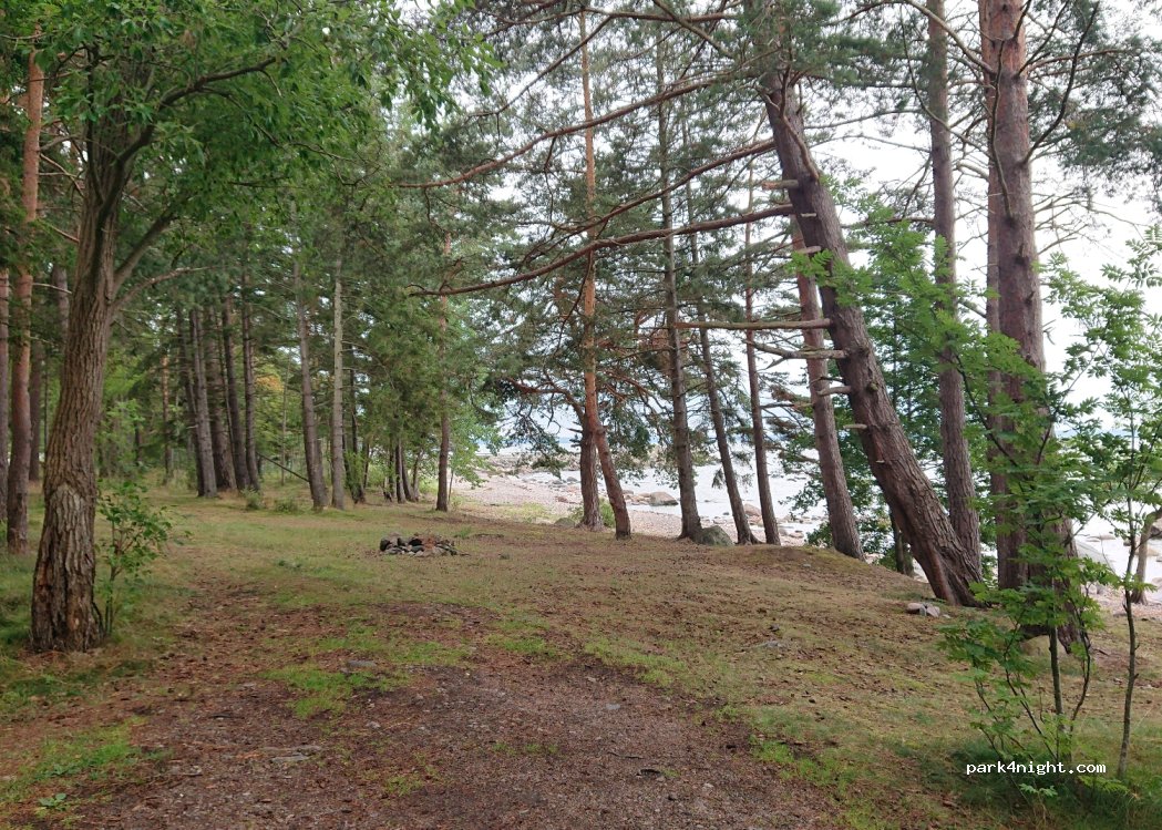 (74706) Pärispea - — foto 2