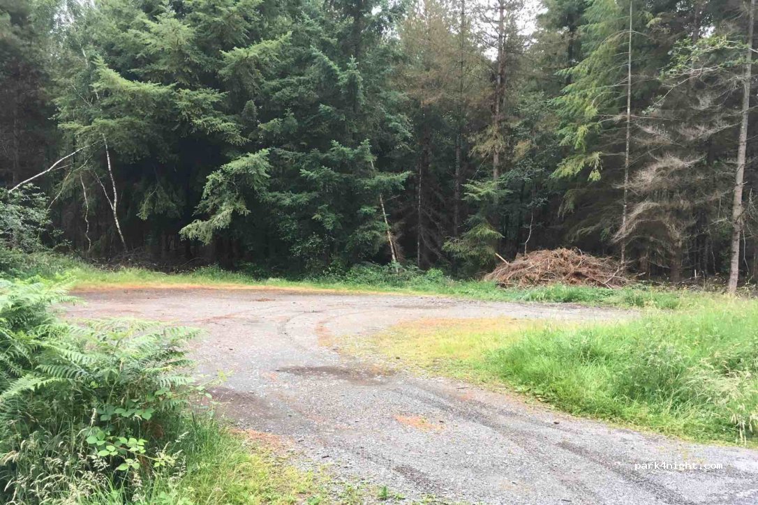 (22270) Plédéliac - Unnamed Road — foto