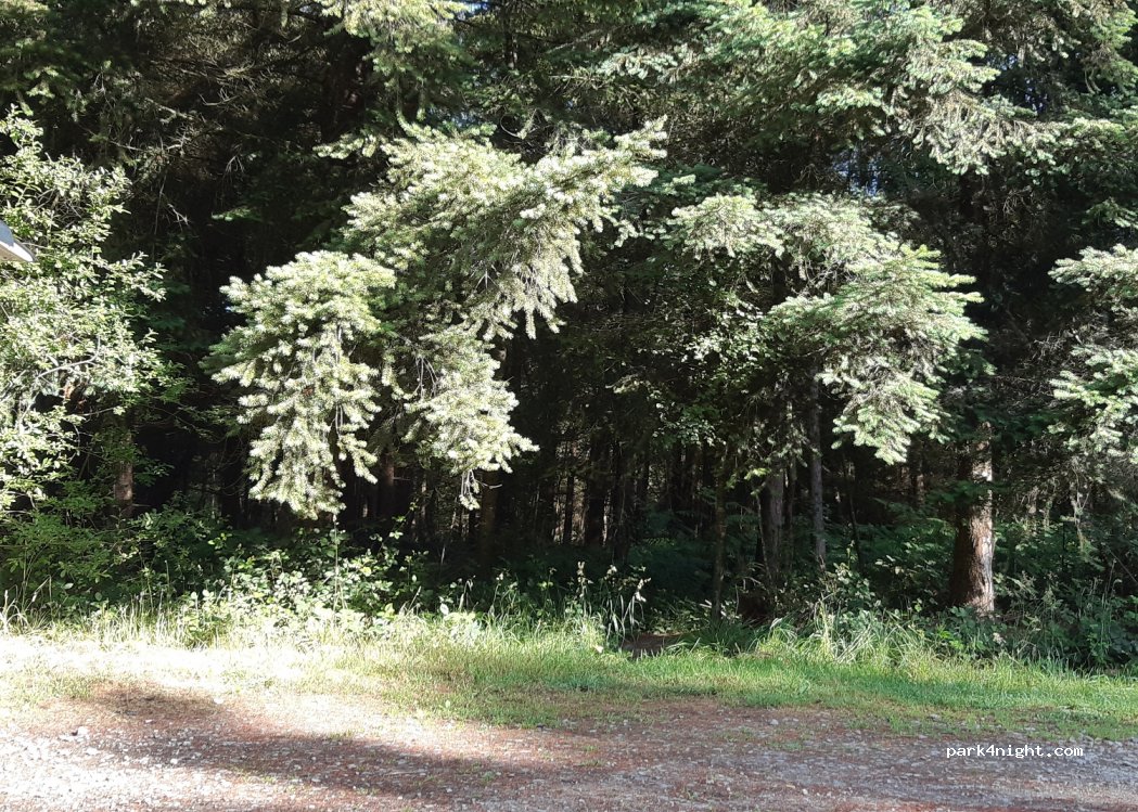 (22270) Plédéliac - Unnamed Road — foto 4