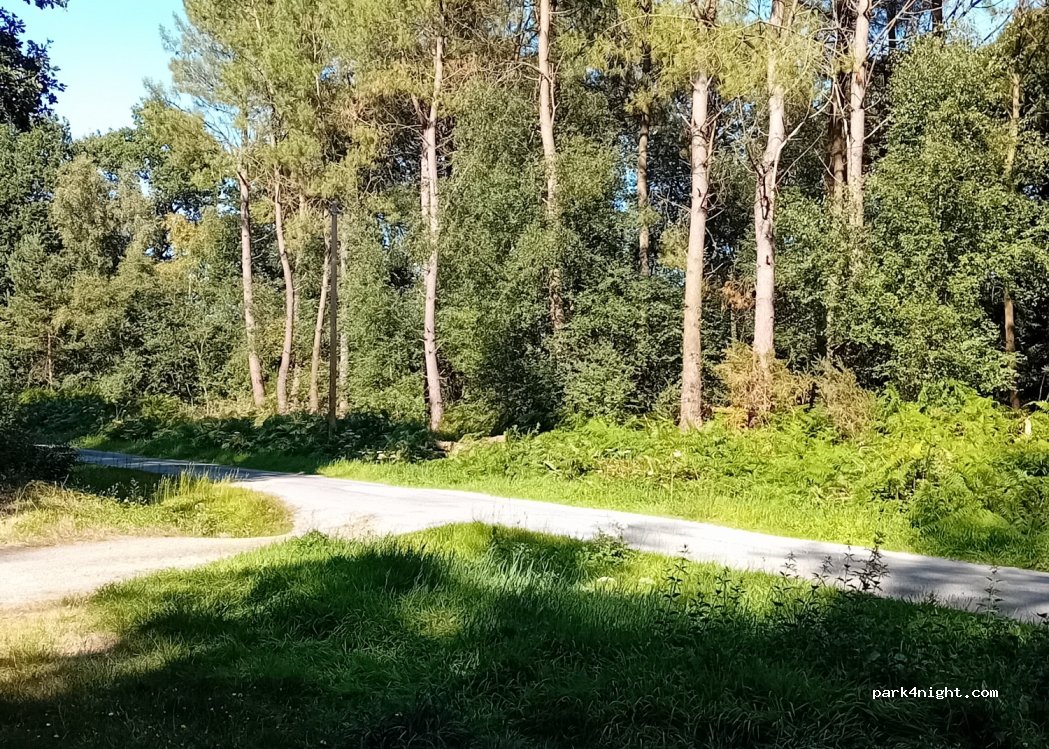 (22270) Plédéliac - Unnamed Road — foto 5