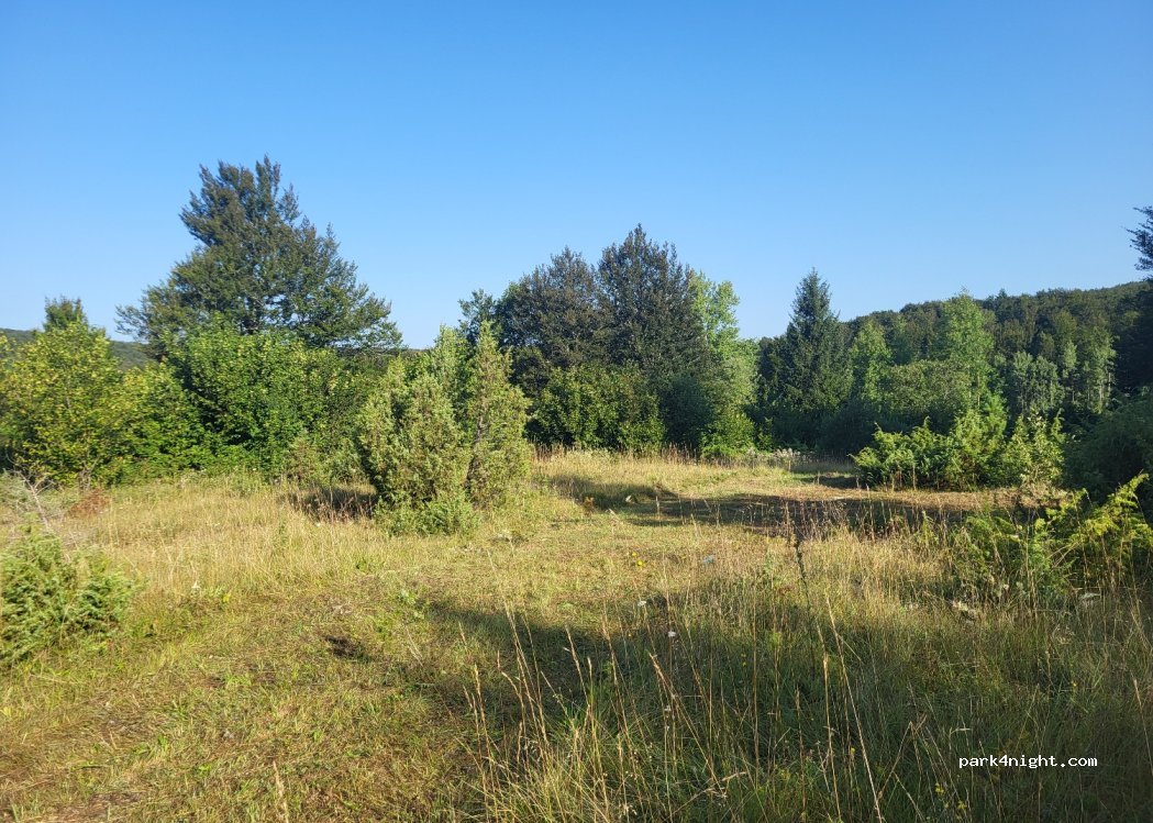 (53230) Čujića Krčevina - Unnamed Road — foto