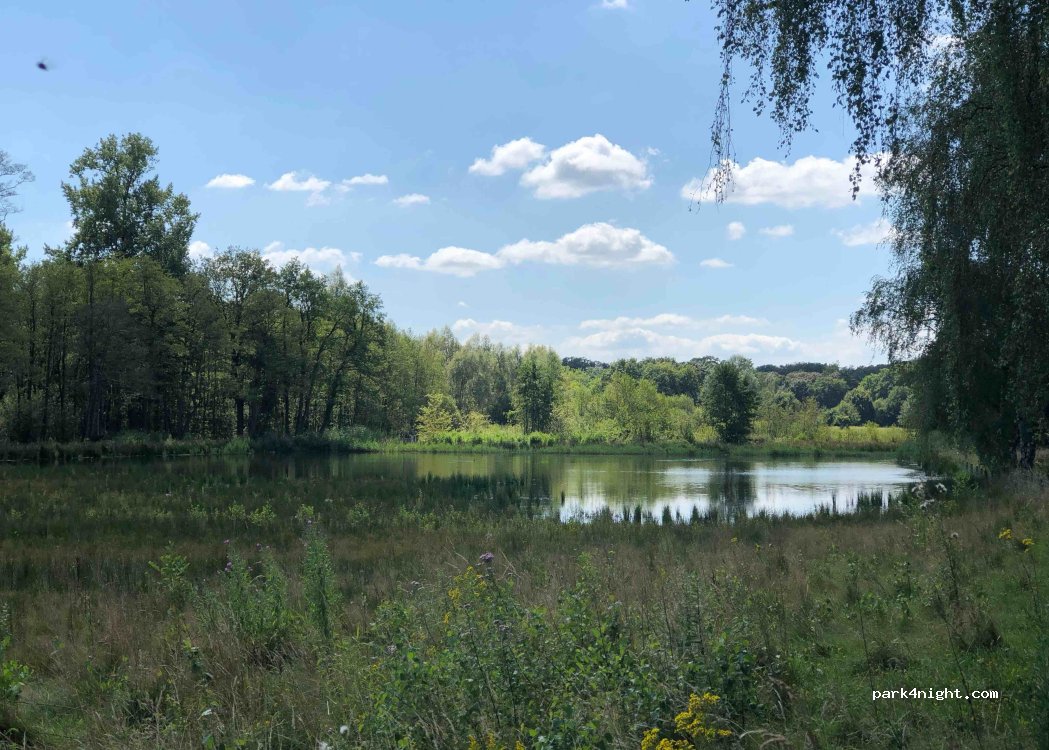 (7004 GV) Doetinchem - 15 Badweg — foto 2