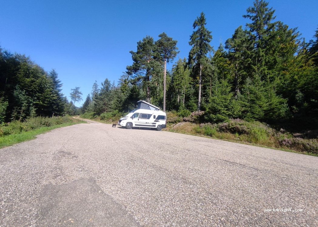 (76596) Forbach - 26 Viehläger — foto 2