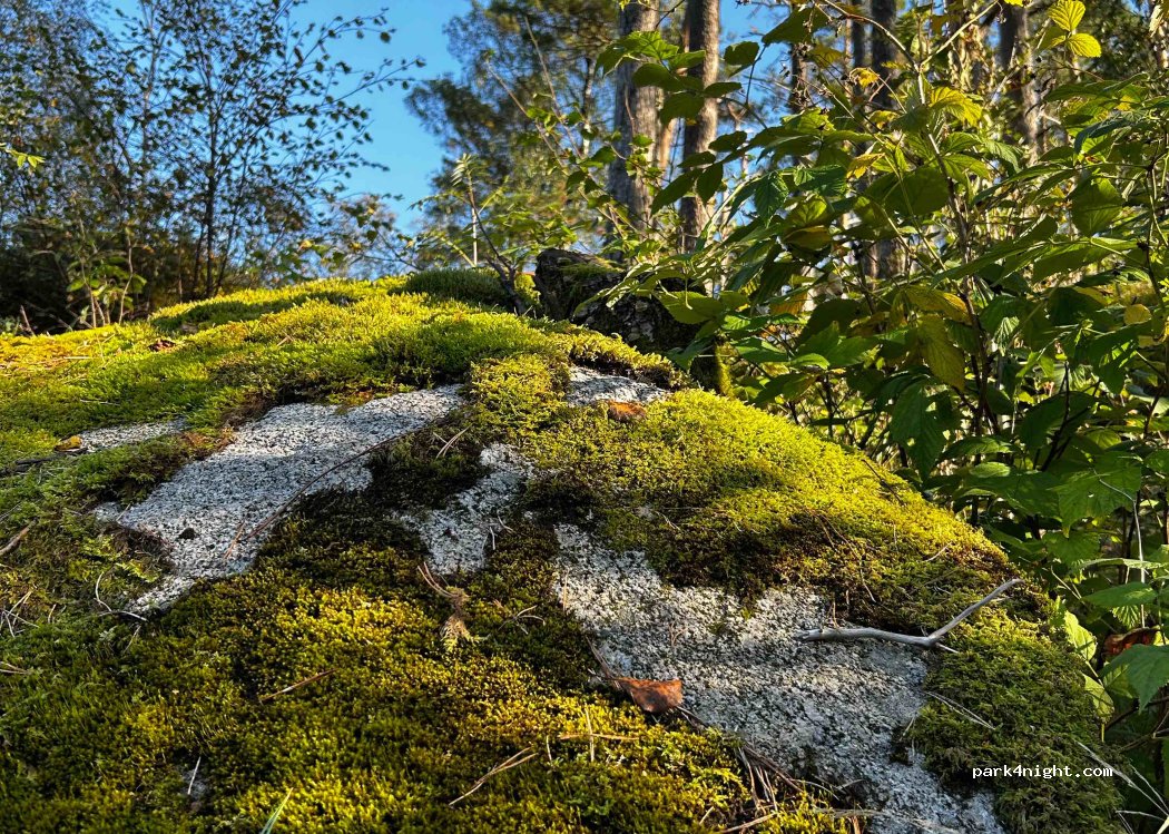 (4130) Hjelmeland - — foto 3