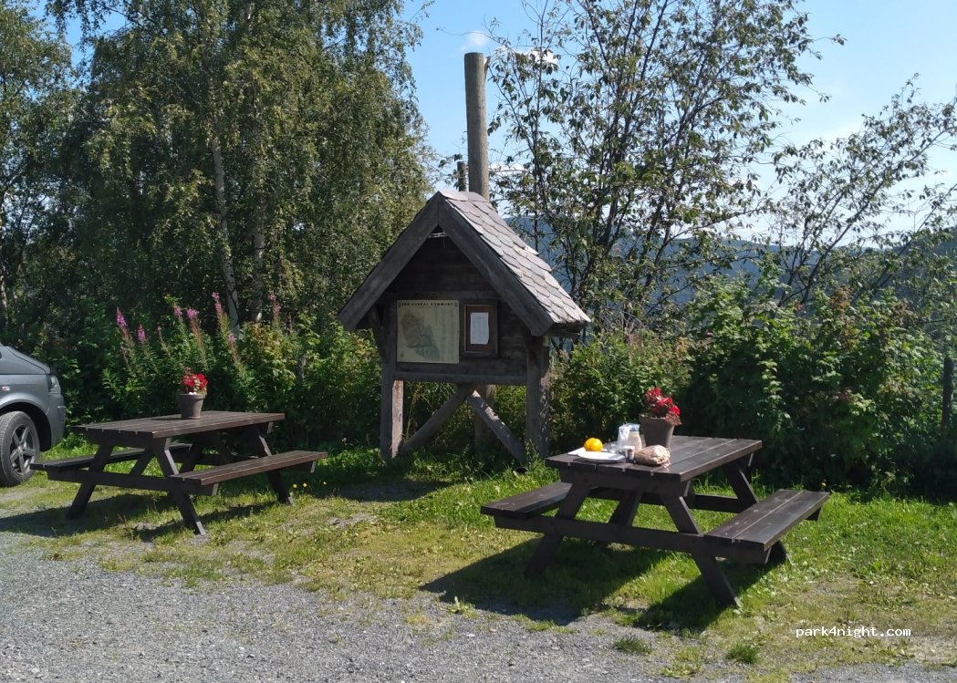 (2933) Reinli - 121 Sekundær Fylkesveg 221 — foto