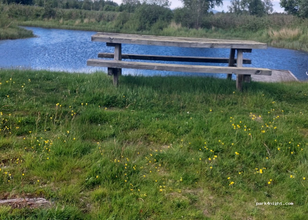 (2266) Åsnes - 8 Haultivegen — foto 3