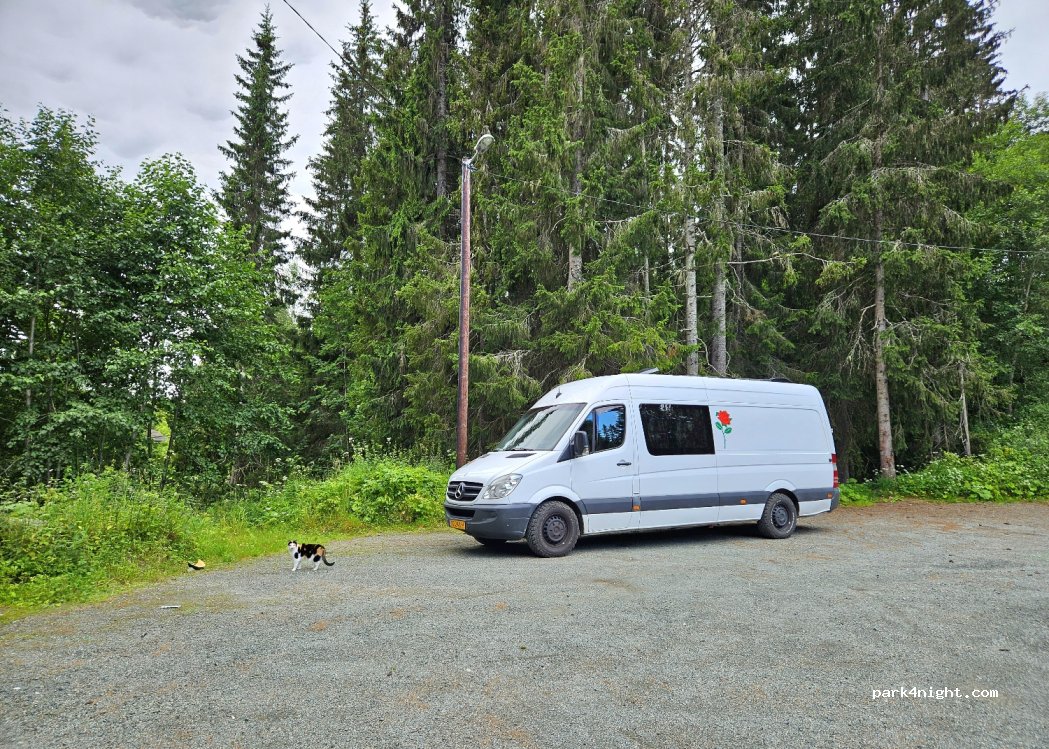 (7026) Trondheim - 36 Overlege Bratts veg — foto